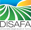 disafa_elena_univ